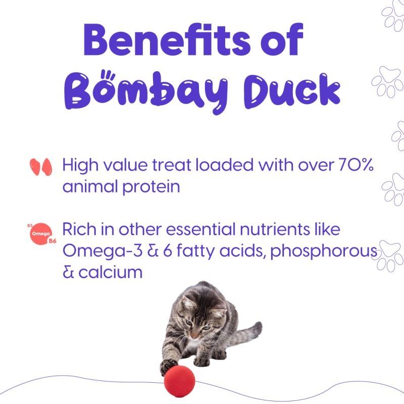 Bombay Duck Fish Jerky Real Treat for Cats