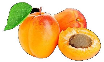 Apricot Pulp