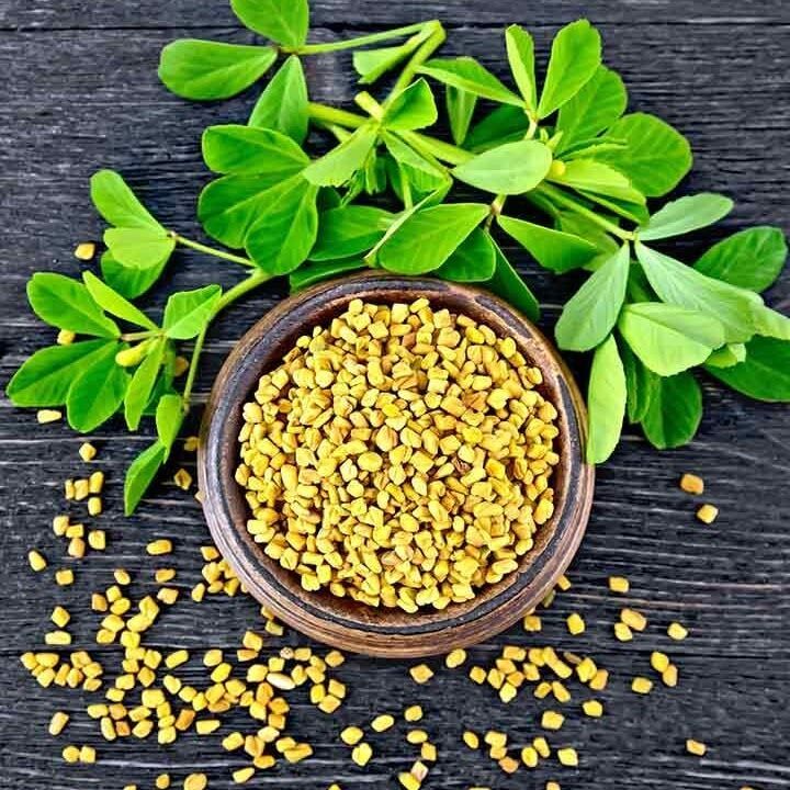 Fenugreek Seed