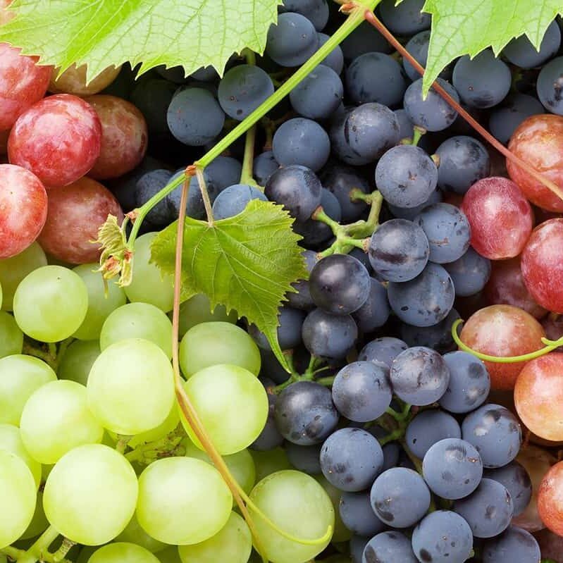 Fresh Grapes