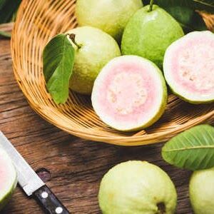 Fresh Guava, Color : Green, Taste : Sweet Tangy