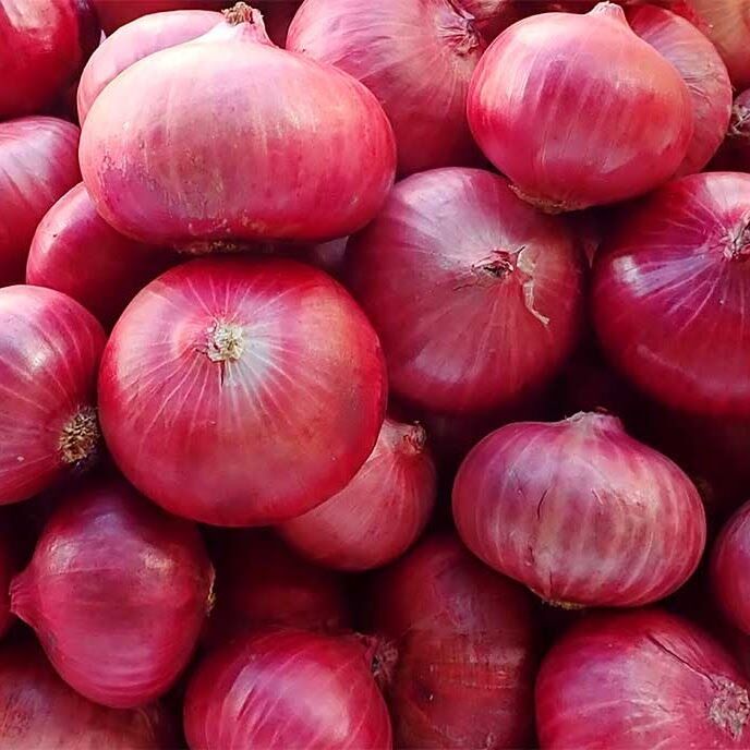 Fresh Onions