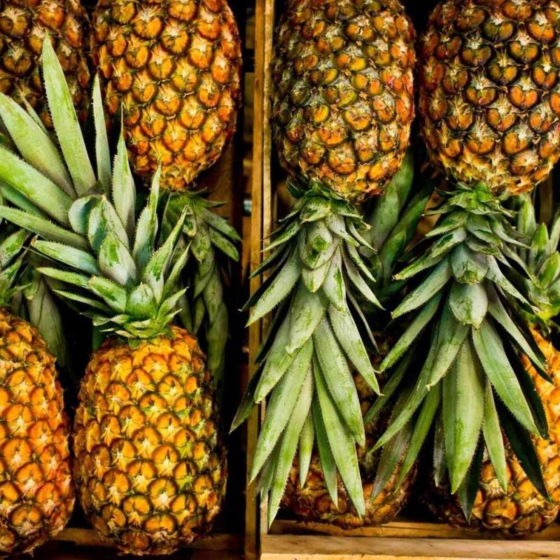 Fresh Pineapple