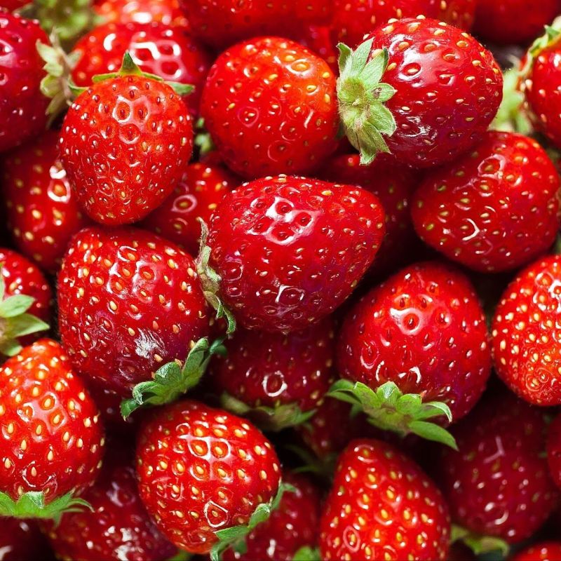 Fresh Strawberry