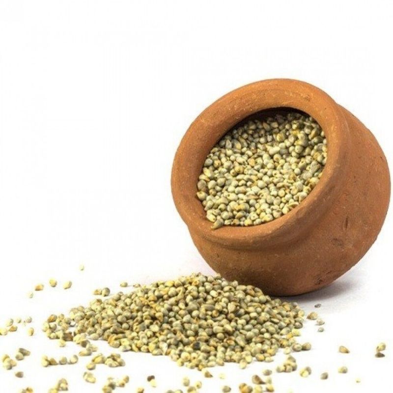 Natural Organic Pearl Millet Seed