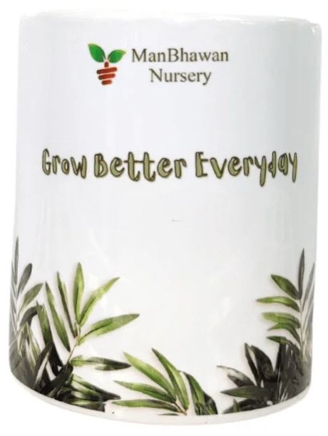 Grow Better Everyday Printed Ceramic Plant Pot