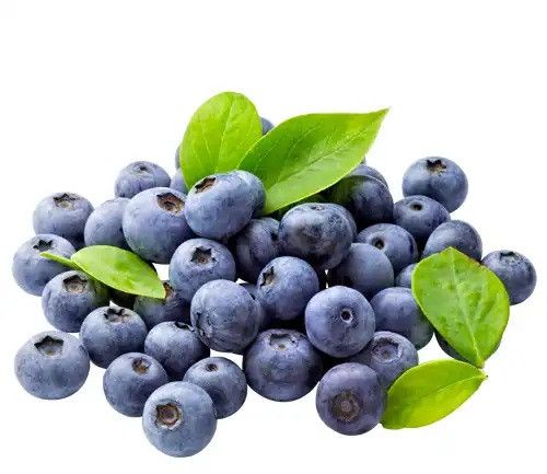 Blueberry