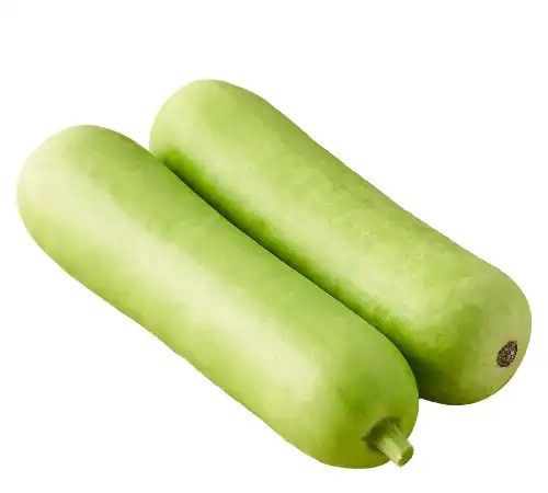 Bottle Gourd