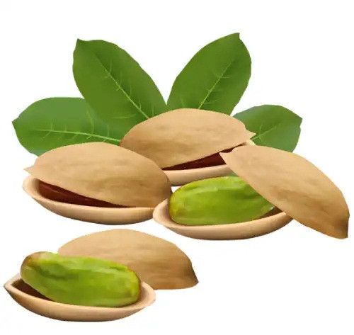 PISTA, Color : Green