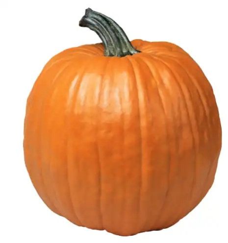 Pumpkin