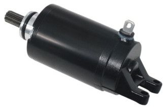 Triumph Daytons 800 Starter Motor