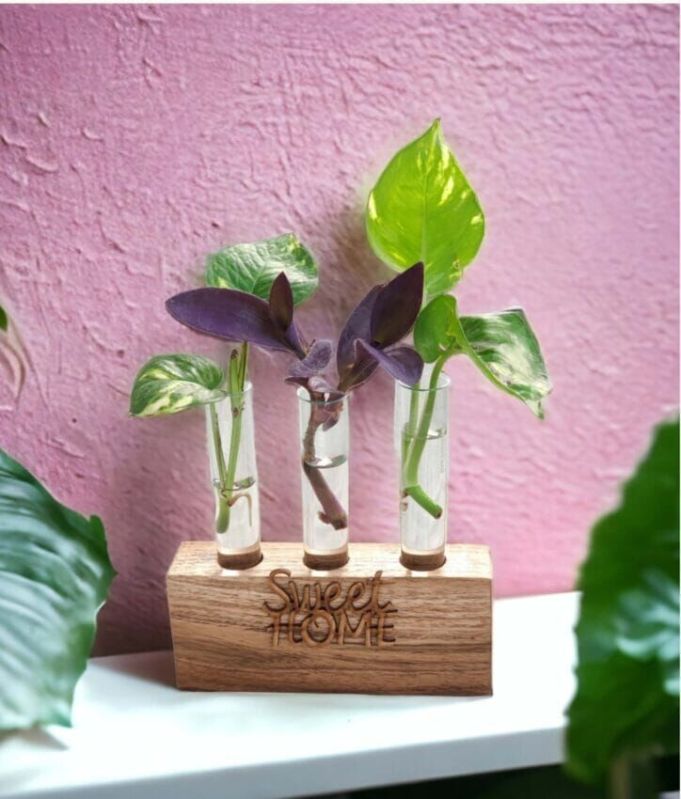Engraved Homestead Planter