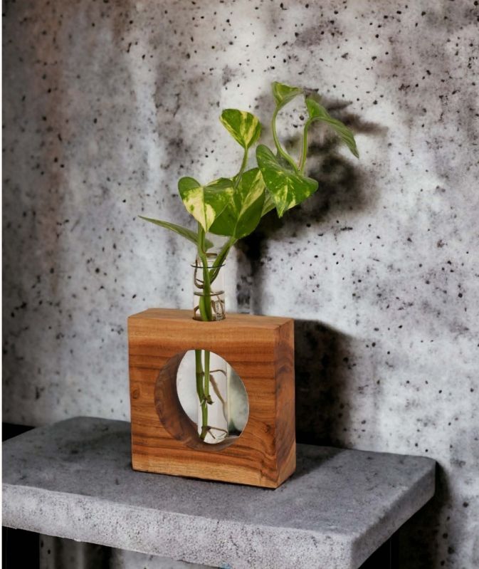 Full Moon Hydroponic Planter