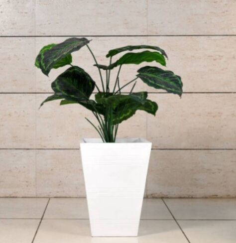Gemstone Petite Fiberglass Planter, Weight : 5 Kg