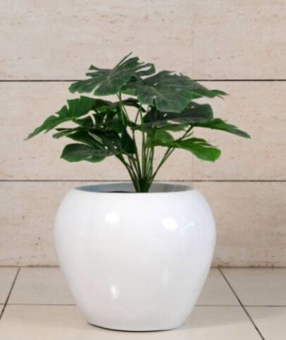 Grande Apple Fiberglass Planter, Weight : 5 Kg