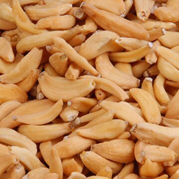 Dehydrated Garlic Flakes For Cooking