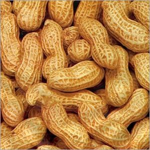 Organic Groundnut Shell, Packaging Type : PP Bag for Human Consumption