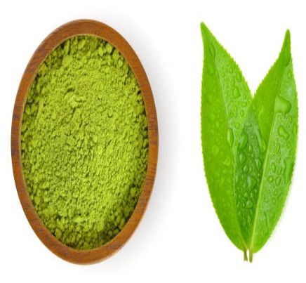 Mint Powder, Packaging Type : Plastic Bag, Purity : 100%