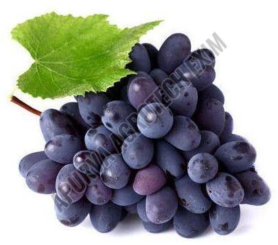 Fresh Black Grapes