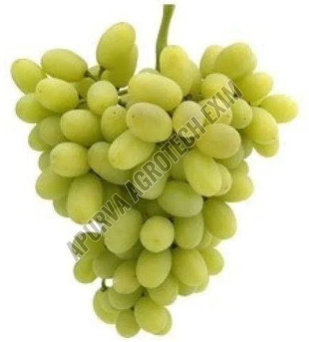 Fresh Green Grapes