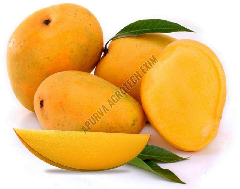 fresh mango