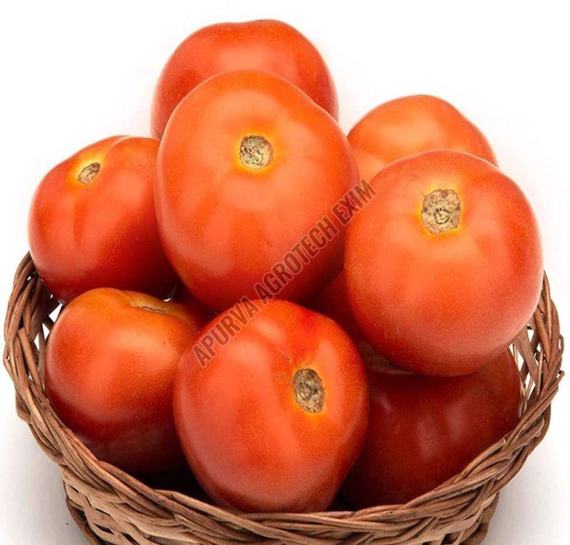 fresh tomato