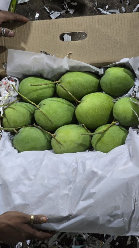 Fresh Mango