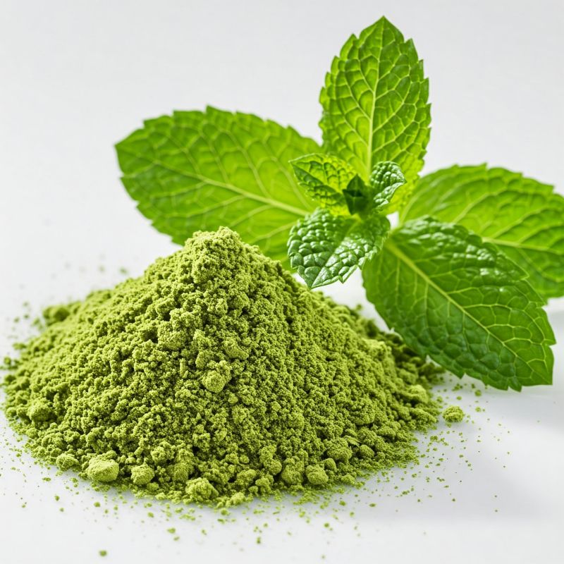 mint leaf powder