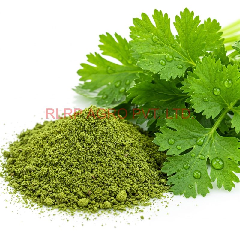 green coriander powder