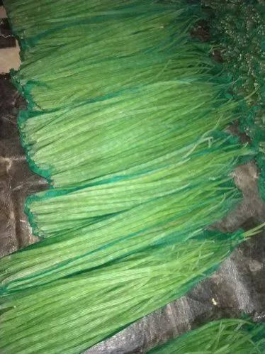Natural Drumstick, Color : Green, Packaging Size : 5Kg, 10Kg, 25Kg