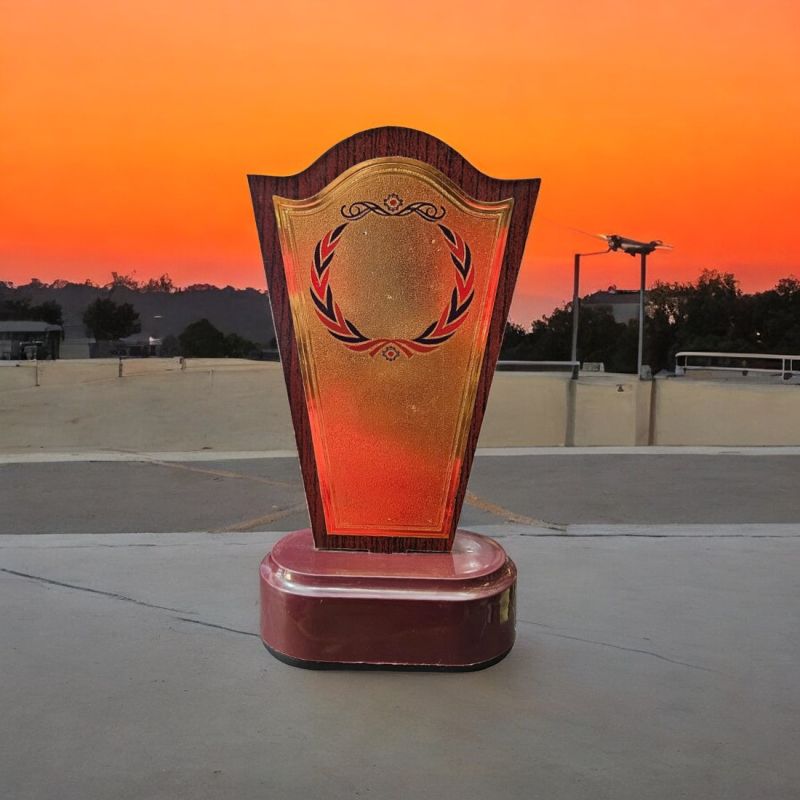 EC49 Award Trophy