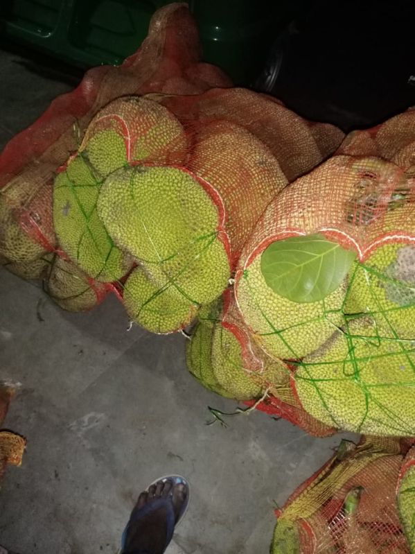 Fresh Jackfruit
