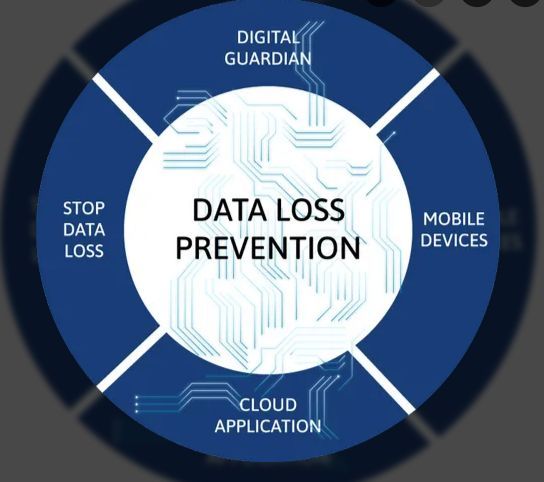 Data Loss Prevention Services