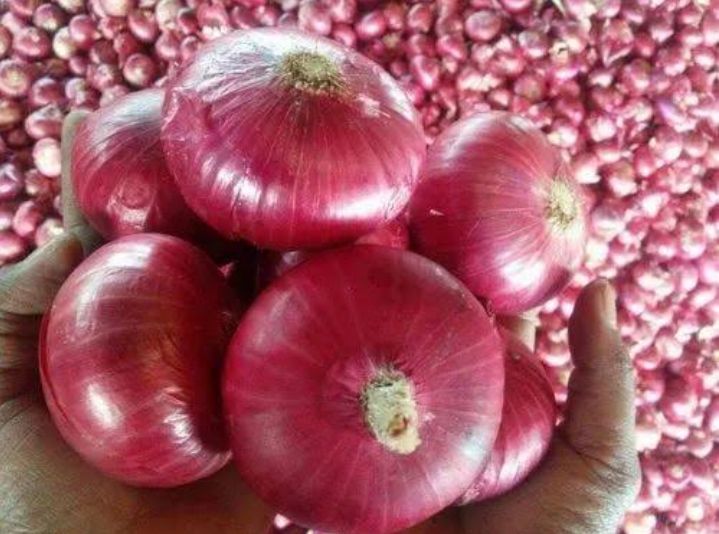 Nasik Red Onion