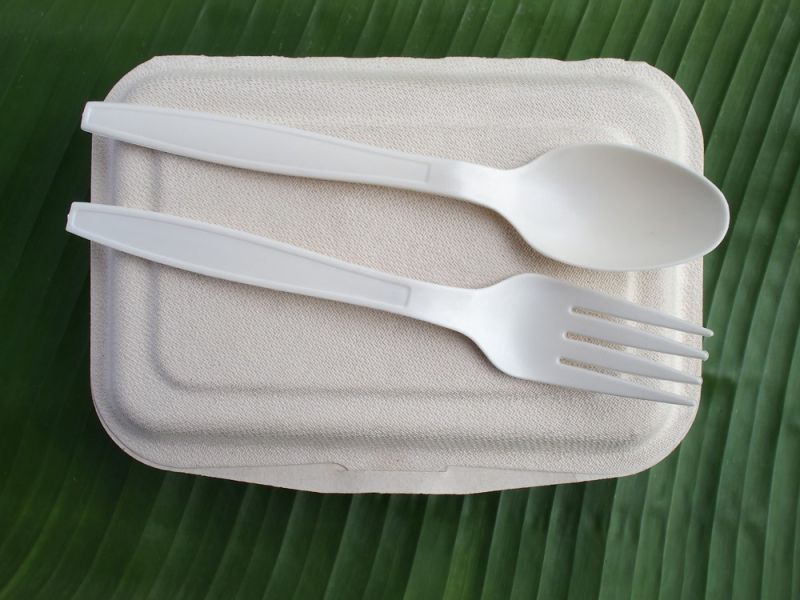 Bagasse Clamshell Box