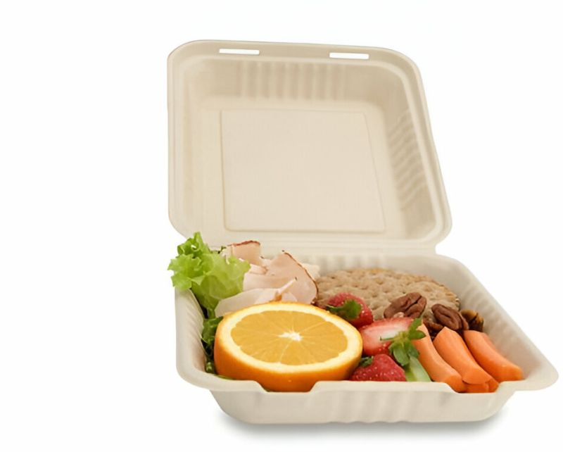 Bagasse Clamshell Box