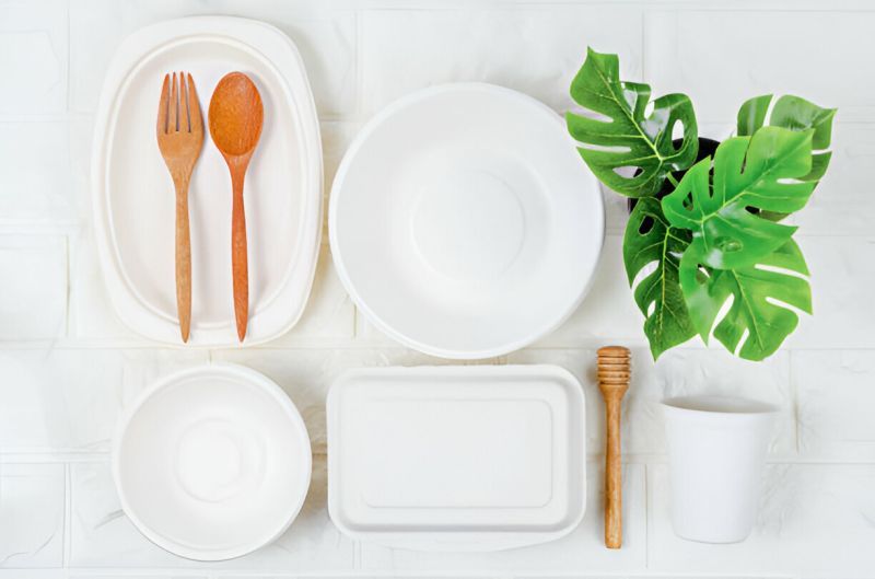 bagasse plates