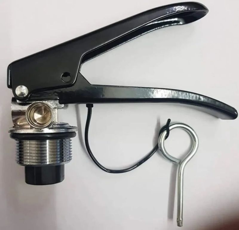 Spring Brass Fire Extinguisher Valve