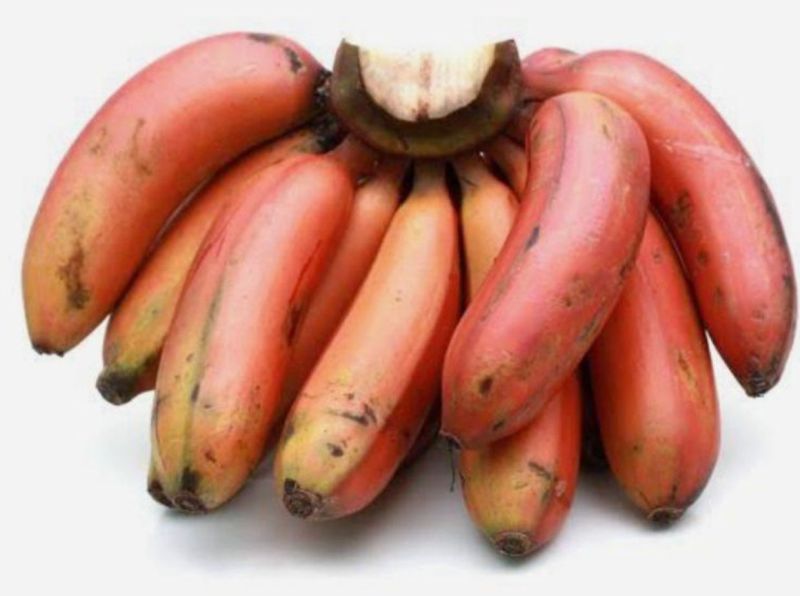 A Grade Organic Red Banana