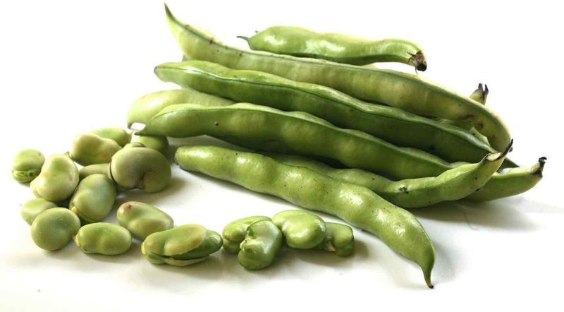 Broad Beans