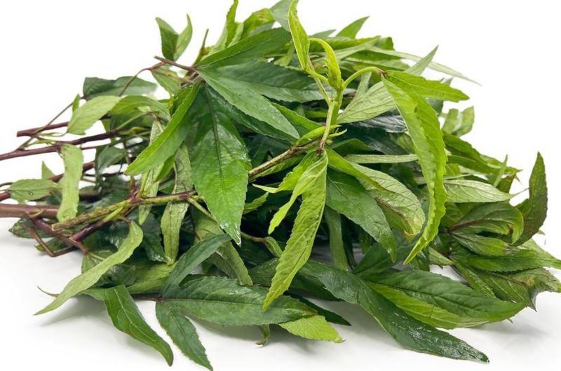 Gongura Leaves