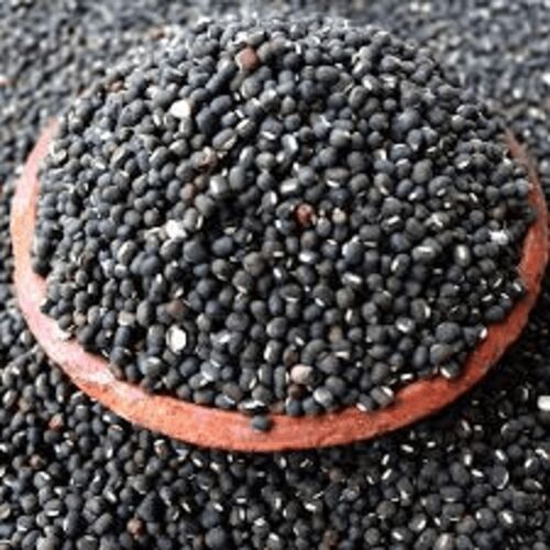 Natural Black Gram, Packaging Size : 1Kg, Packaging Type : PP Bag