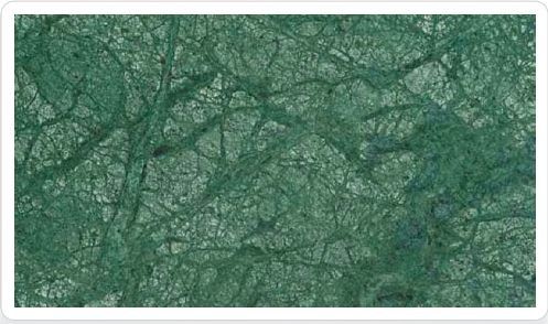 Polished Indian Forest Green Granite Slabs Standard for Construction