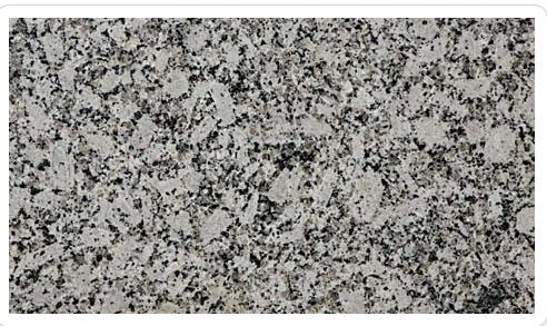 Polished Indian Platinum White Granite Slabs Standard for Construction