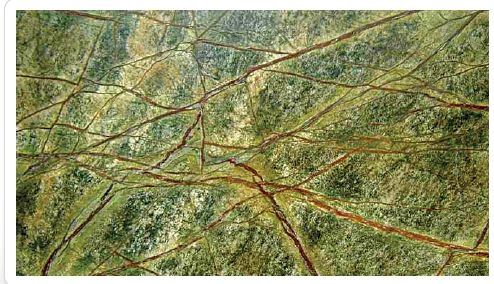 Polished Indian Rainforest Green Granite Slabs Standard