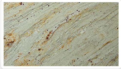 Polished Indian River Gold Granite Slabs Standard for Construction
