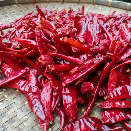 dry red chilli