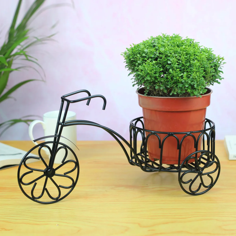 Cartwheel Rickshaw Planter