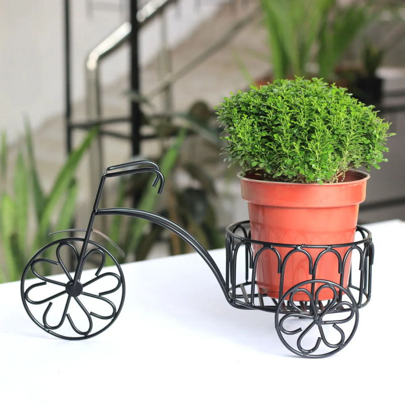 Cartwheel Rickshaw Planter