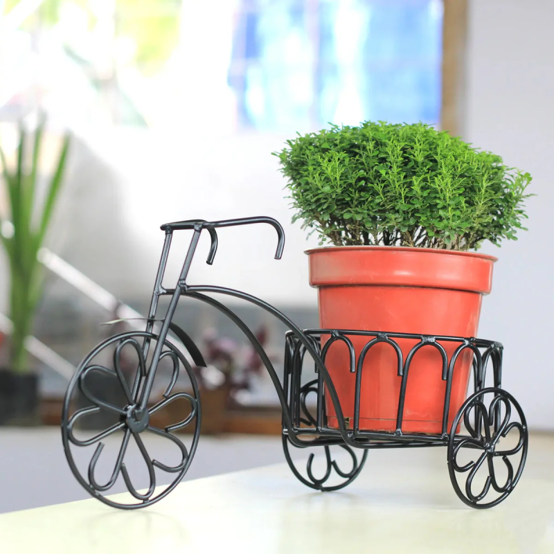 Cartwheel Rickshaw Planter